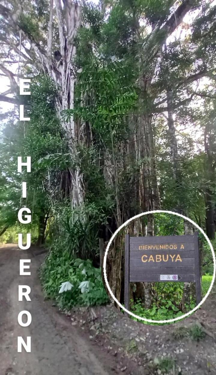 Luz De Estrella Studios Cabuya  Екстер'єр фото